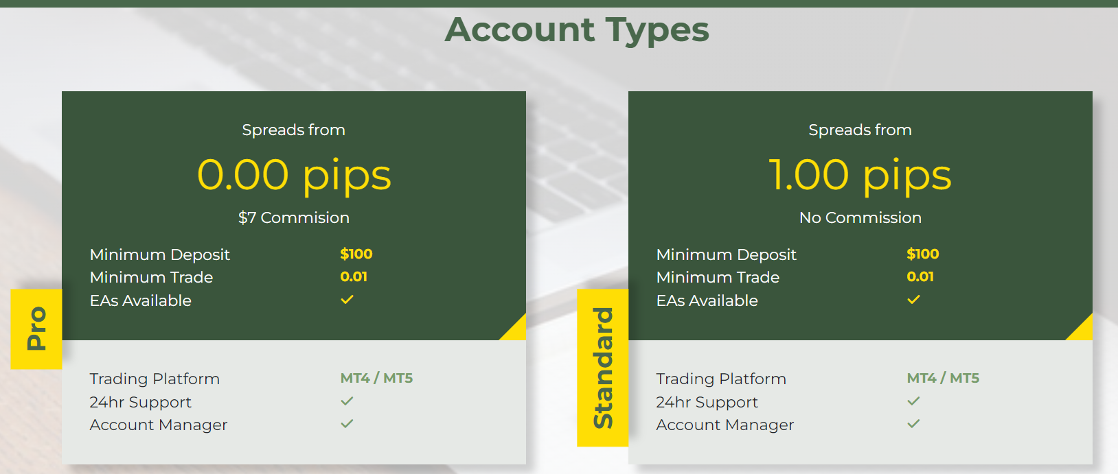 Focus Markets